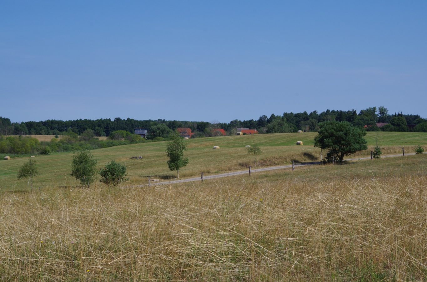 Blick in Richtung Dorf