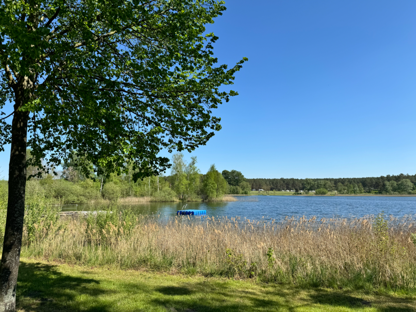 Direkt vor der Haustür: Kluger See