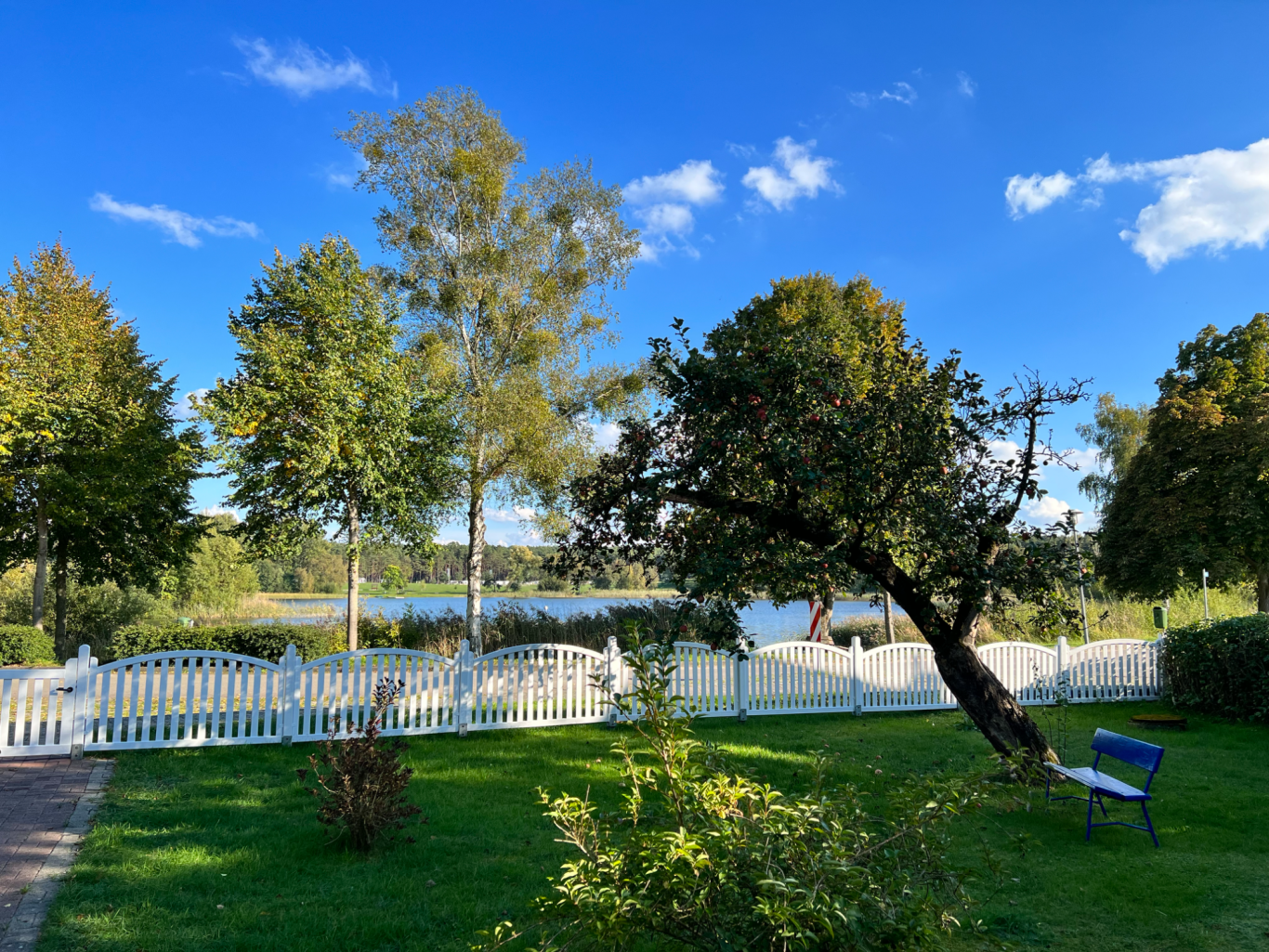 Der Garten vor dem Haus
